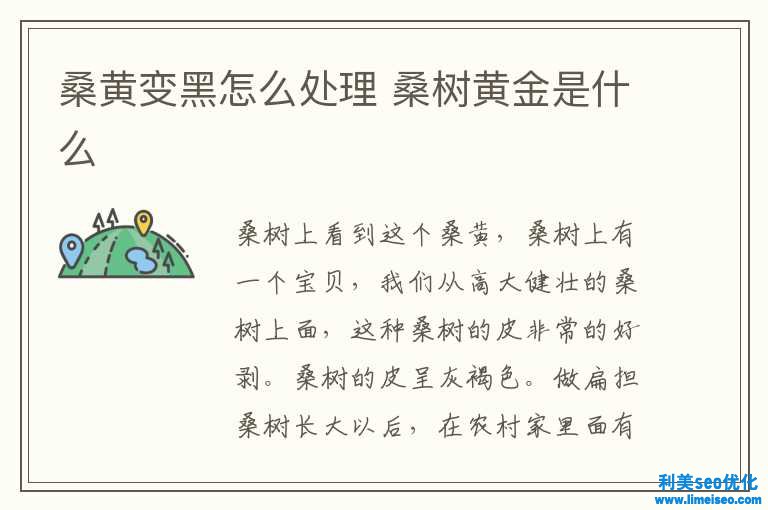 桑黄变黑怎样解决 桑树黄金是什么